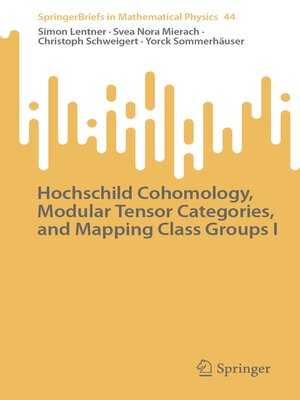 cover image of Hochschild Cohomology, Modular Tensor Categories, and Mapping Class Groups I